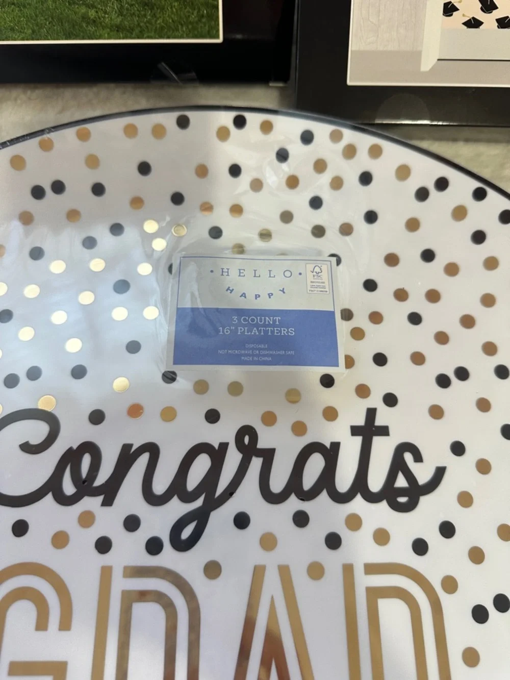 Graduation bundle outdoor balloon set, door cover, and 16” platters